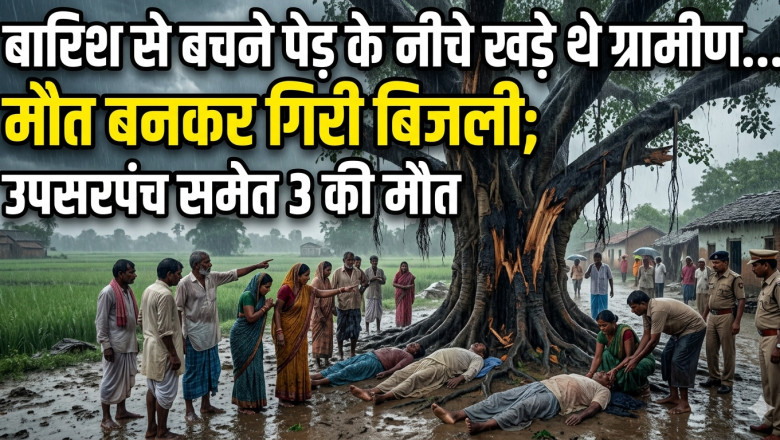 बारिश से बचने पेड़ के नीचे खड़े थे ग्रामीण, मौत बनकर गिरी बिजली; उपसरपंच समेत 3 की मौत