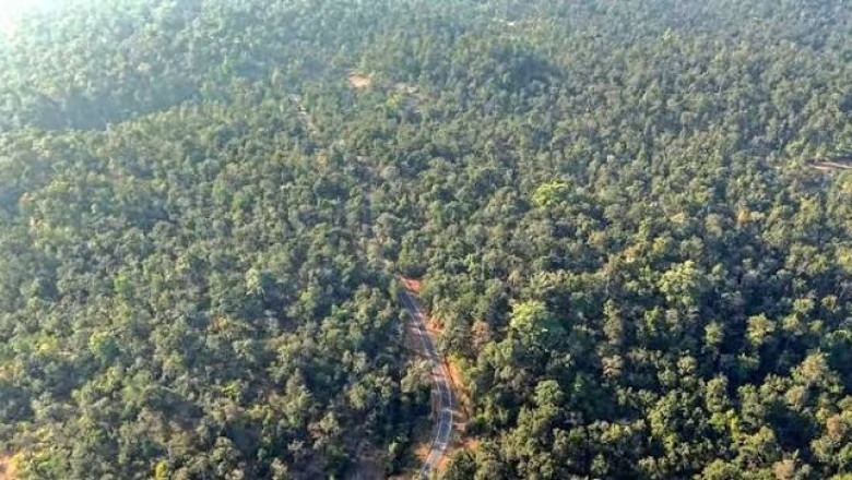 छत्तीसगढ़ के जंगलों से राजस्थान को मिलेगी बिजली, 90 लाख टन कोयले की कमी होगी दूर