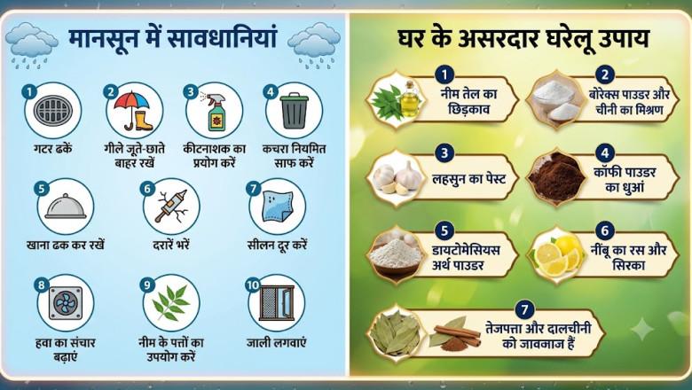 मानसून में बढ़ रहे कीड़े और कॉकरोच? अपनाएं ये 10 सावधानियां, जानें 7 असरदार घरेलू उपाय