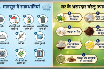 मानसून में बढ़ रहे कीड़े और कॉकरोच? अपनाएं ये 10 सावधानियां, जानें 7 असरदार घरेलू उपाय