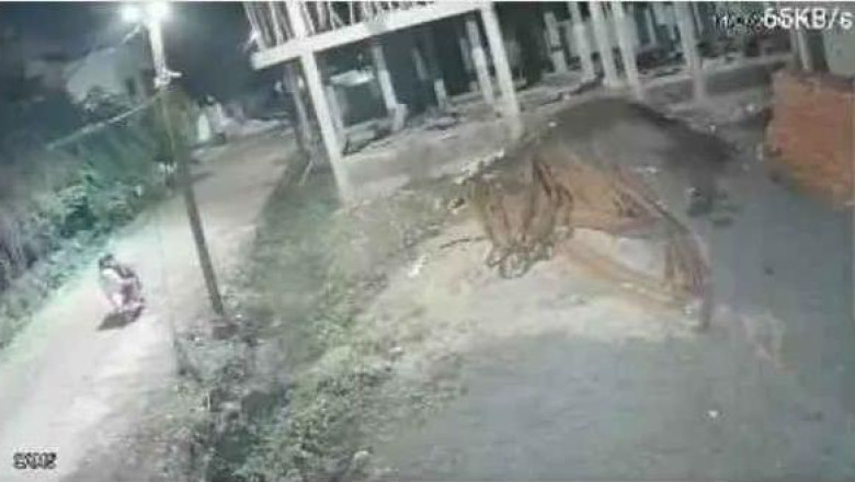 दुर्ग के प्रियदर्शिनी परिसर में बोरिंग का केबल चोरी, बाइक सवार तीन चोर CCTV में कैद; जांच में जुटी पुलिस
