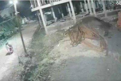 दुर्ग के प्रियदर्शिनी परिसर में बोरिंग का केबल चोरी, बाइक सवार तीन चोर CCTV में कैद; जांच में जुटी पुलिस