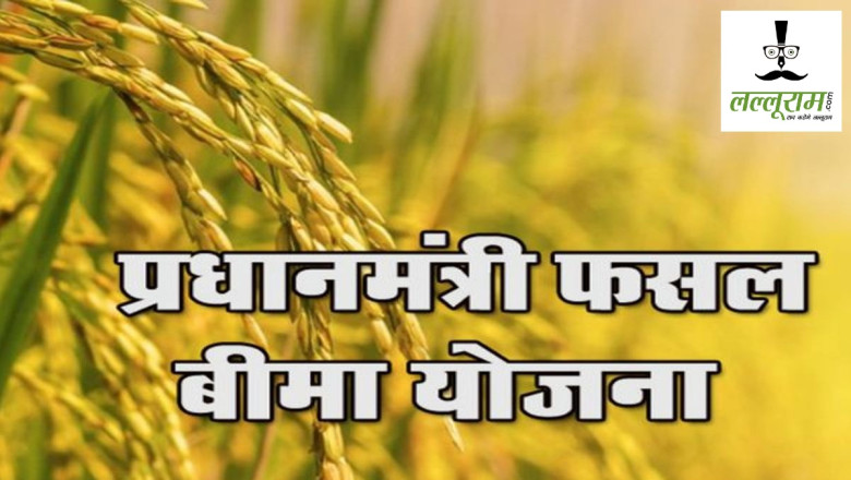 किसानों के लिए बड़ी खबर: 31 जुलाई तक मिलेगा फसल बीमा का लाभ, धान सहित 10 फसलें कवर...