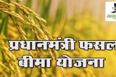 किसानों के लिए बड़ी खबर: 31 जुलाई तक मिलेगा फसल बीमा का लाभ, धान सहित 10 फसलें कवर...