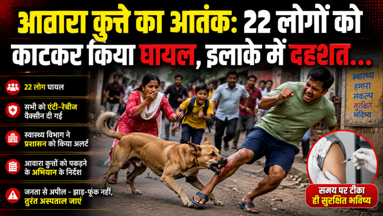 आवारा कुत्ते का आतंक: 22 लोगों को काटकर किया घायल, इलाके में दहशत...
