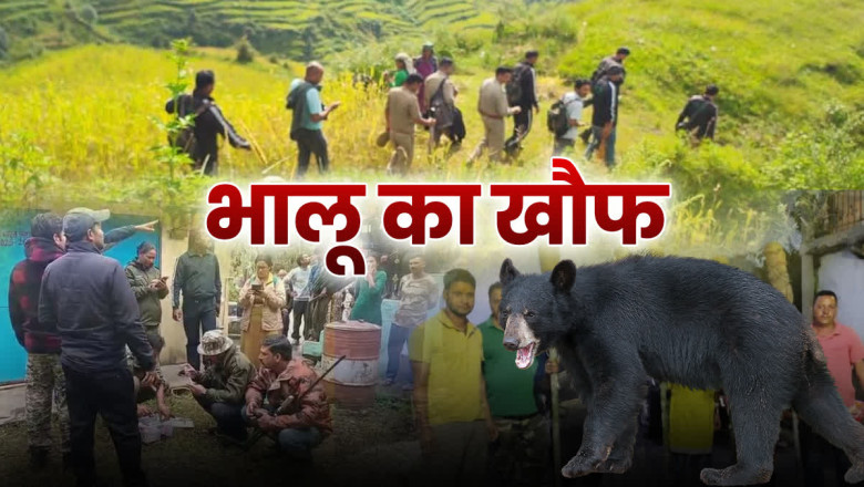 "कांकेर में भालू का आतंक: हमले में 2 ग्रामीणों की मौत, एक घायल; वन विभाग पर उठे सवाल"...