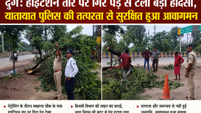 दुर्ग: हाईटेंशन तार पर गिरे पेड़ से टला बड़ा हादसा, यातायात पुलिस की तत्परता से सुरक्षित हुआ आवागमन...