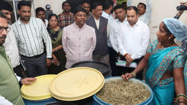 वनमंत्री केदार कश्यप ने कोरबा में वनौषधि प्रसंस्करण केंद्र और हाथी नियंत्रण केंद्र का किया निरीक्षण...