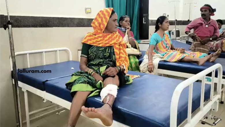 आवारा कुत्ते ने 13 लोगों को काटा, तीन की हालत गंभीर, नगर में डर का माहौल