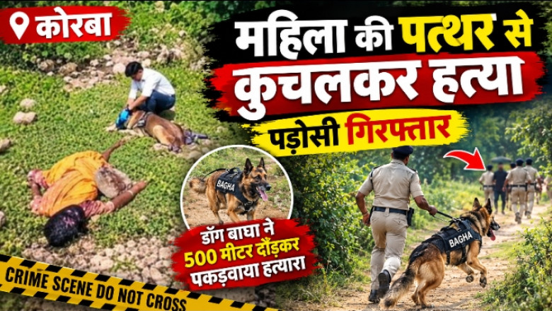 कोरबा: महिला की पत्थर से कुचलकर हत्या, पड़ोसी गिरफ्तार, डॉग बाघा ने 500 मीटर दौड़कर पकड़वाया हत्यारा...