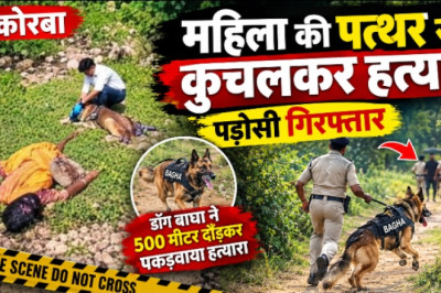 कोरबा: महिला की पत्थर से कुचलकर हत्या, पड़ोसी गिरफ्तार, डॉग बाघा ने 500 मीटर दौड़कर पकड़वाया हत्यारा...