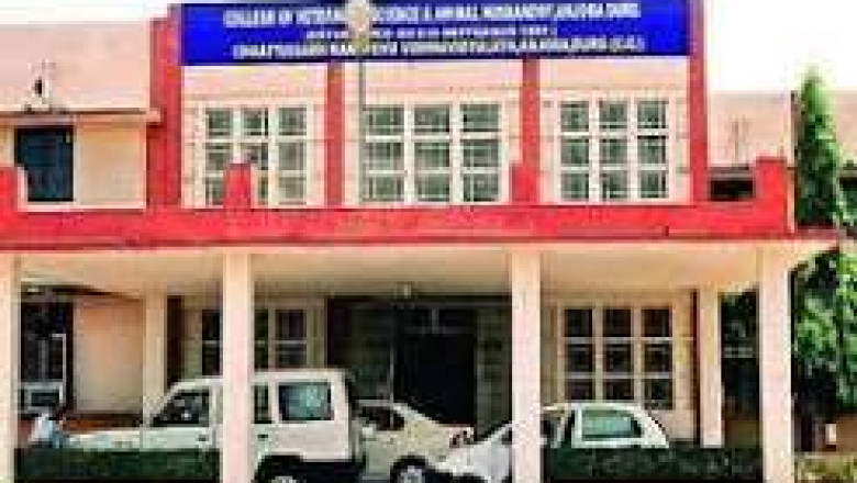 कामधेनु यूनिवर्सिटी की भर्ती पर राजभवन की रोक: शैक्षणिक पदों की नियुक्ति और इंटरव्यू स्थगित, निर्माण कार्यों की जांच पर भी नजर