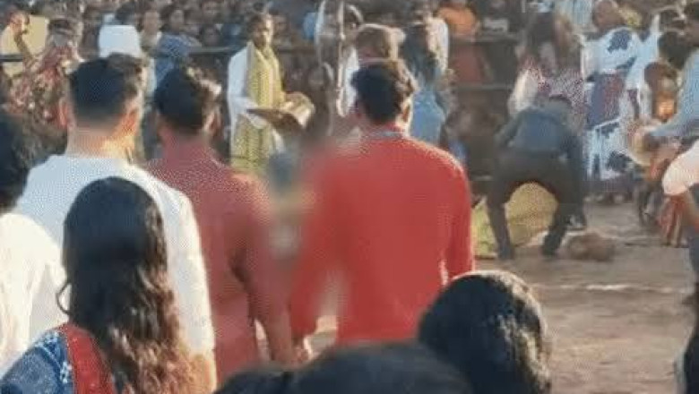 मानकेश्वरी मंदिर में 60 बकरों की बलि, बैगा ने पिया खून; 500 साल पुरानी परंपरा आज भी जारी